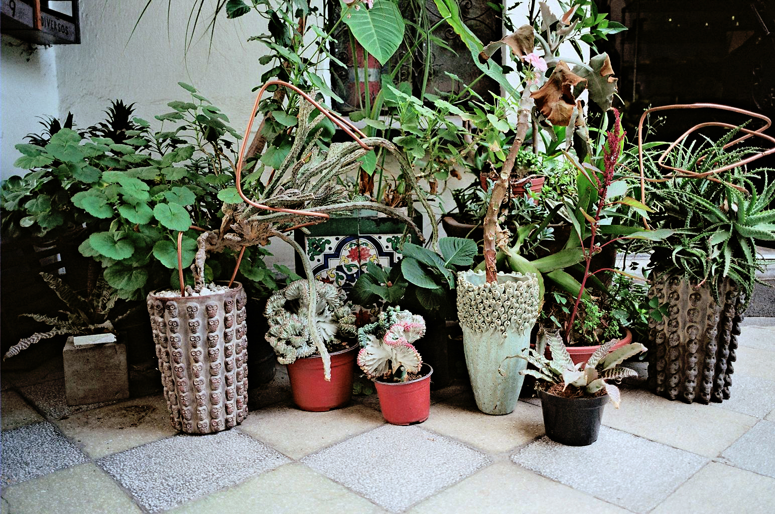 "Freunde-von-Freunden-Alberto-Arango-Ramiro-Guerrero-025"